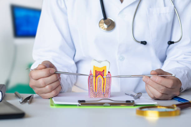 Best Weekend Emergency Dentist in Bergenfield, NJ